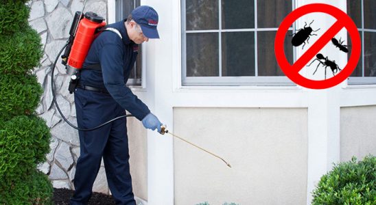 Kargı Tahtakurusu İlaçlama böcek ilaçlama ve haşere kontrolü — ilaclama-tr.com